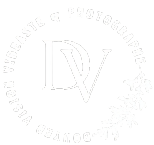 Douyeb Vision
